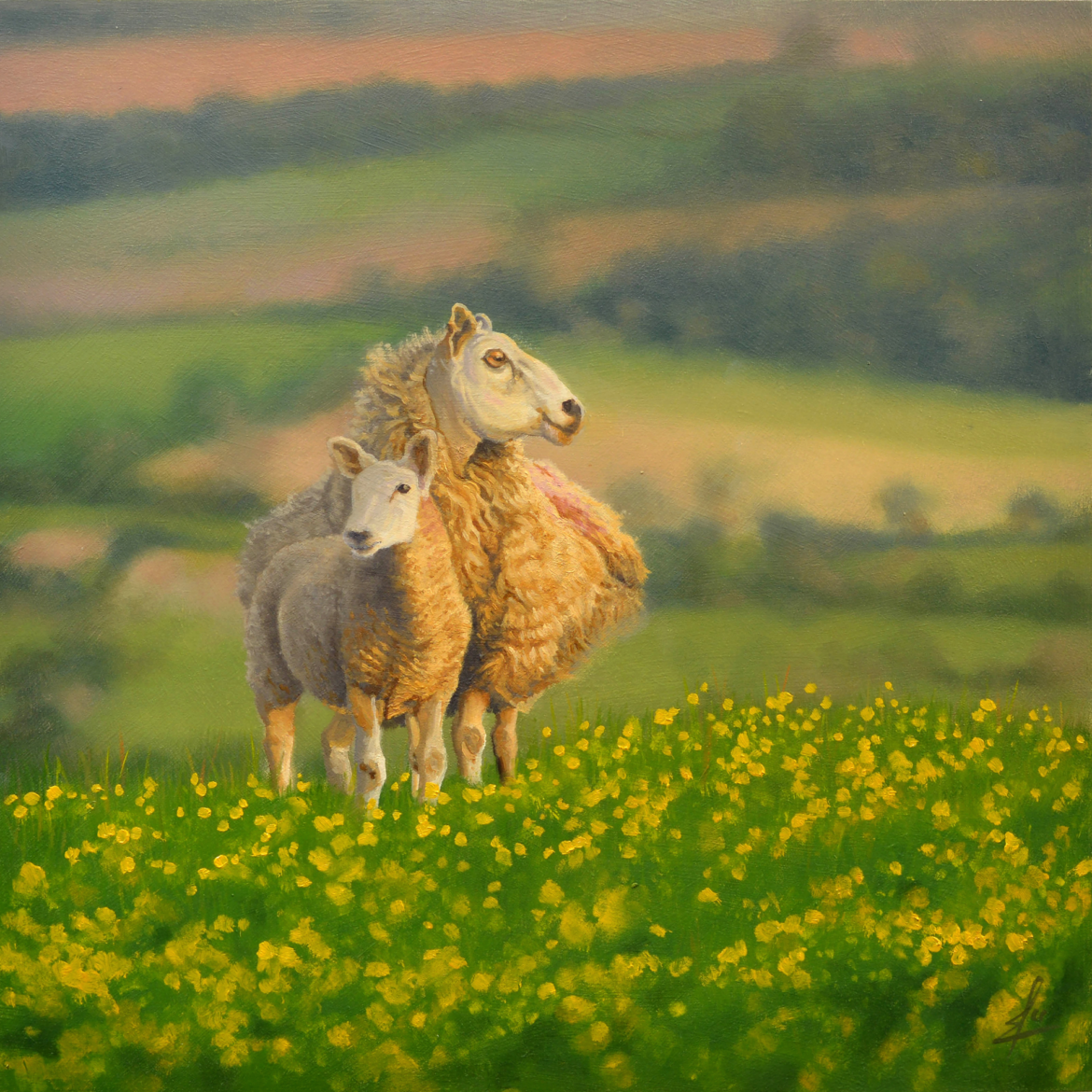 An oil painting by artist Ja Edwards of sheep, lit by the low sun